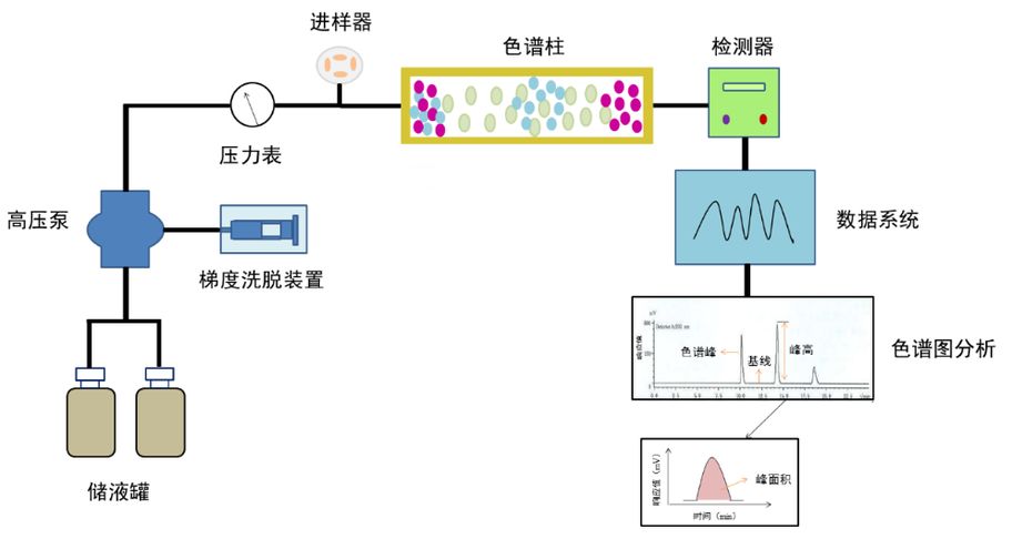 HPLC工作原理